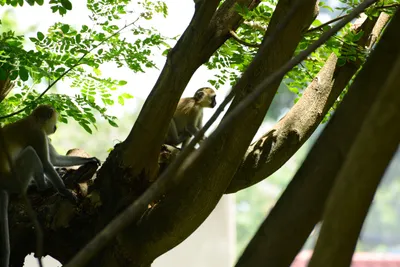 DSC_7862 (Large).JPG